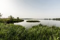 001-1024x682-00001.jpg