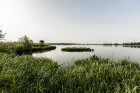 001-1024x682-00001.jpg