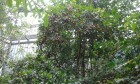 20140529-102422.jpg
