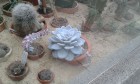 20140529-111407.jpg