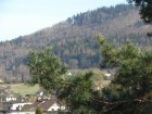 dsc00742.jpg