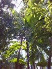 img-20140522-113159.jpg
