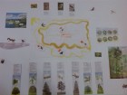 img-20141008-094349.jpg