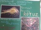img-20141008-094440.jpg