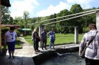 img-2470.jpg