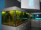 pc110091.jpg