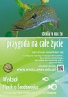 plakat-a-best-a.jpg
