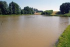 staw.jpg